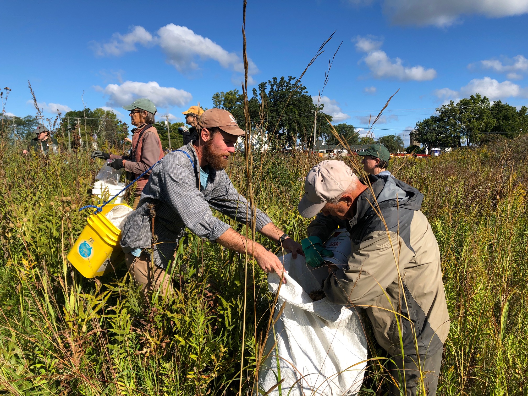 Volunteers assist CFC Restoration Program Manager with seed harvesting in a preserve.