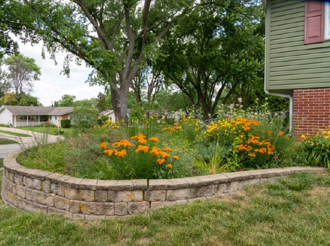 Native Landscaping - By Matt Hokanson